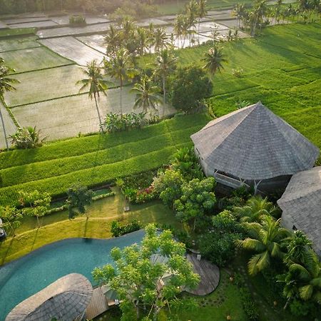 Thewakanda Resort A Pramana Experience Ubud Eksteriør billede