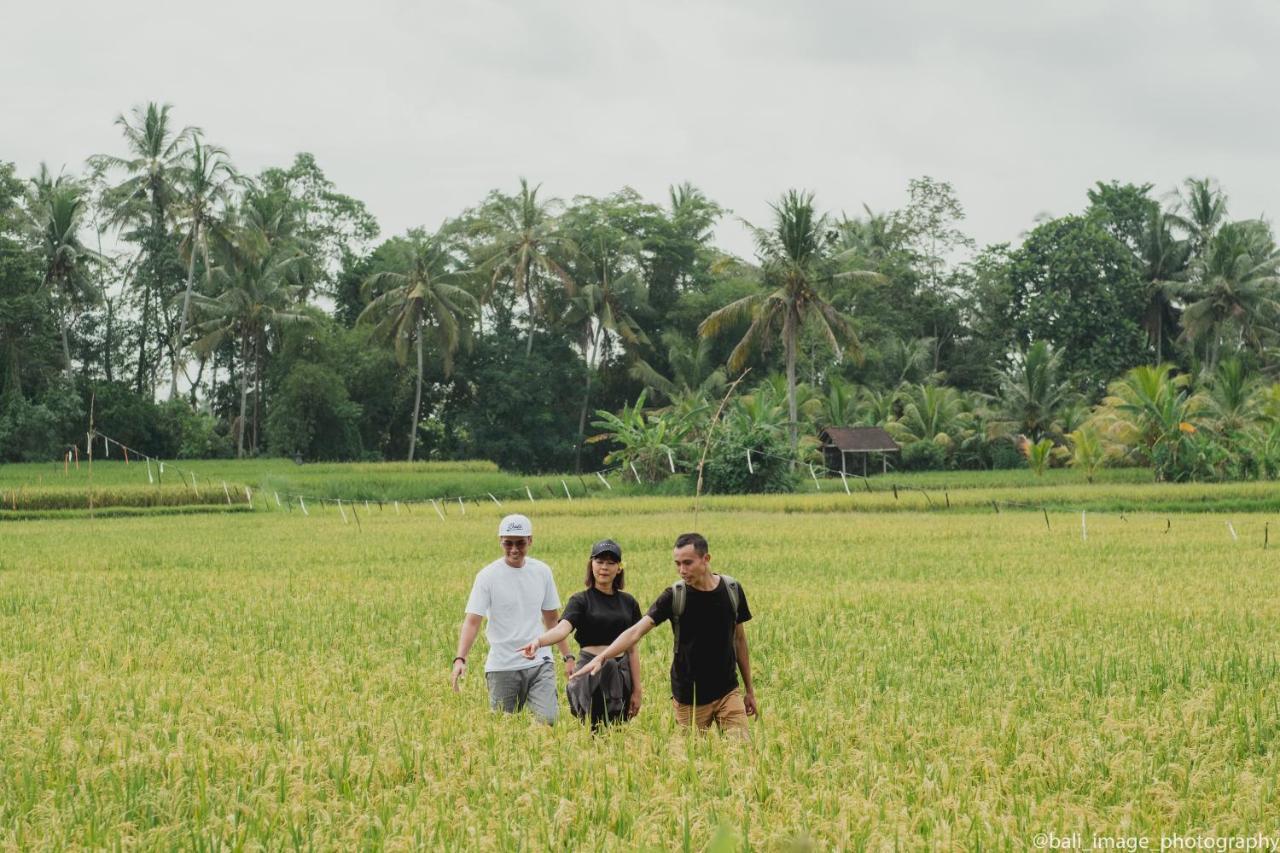 Thewakanda Resort A Pramana Experience Ubud Eksteriør billede
