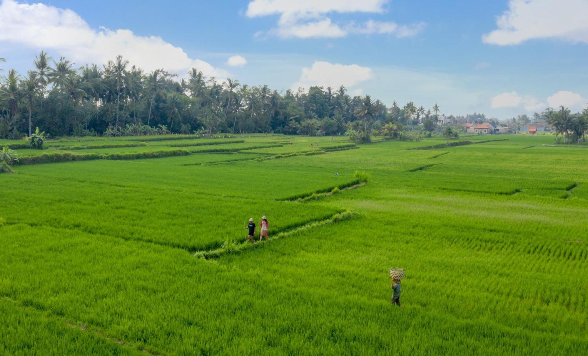 Thewakanda Resort A Pramana Experience Ubud Eksteriør billede